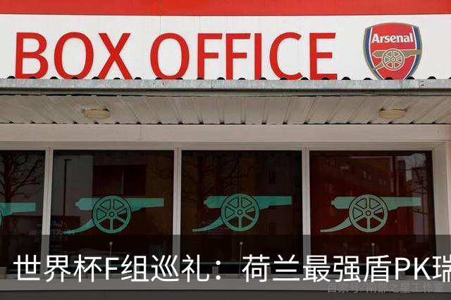 世界杯F组巡礼：荷兰最强盾PK瑞典犀利刀 日本短板明显