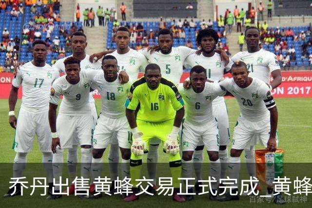 乔丹出售黄蜂交易正式完成 黄蜂大老板易主