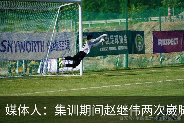媒体人：集训期间赵继伟两次崴脚 大秋三宁李弘权高诗岩也都带伤