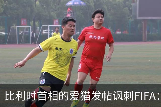 比利时首相的爱猫发帖讽刺FIFA：“红牌？”我照样继续踢！