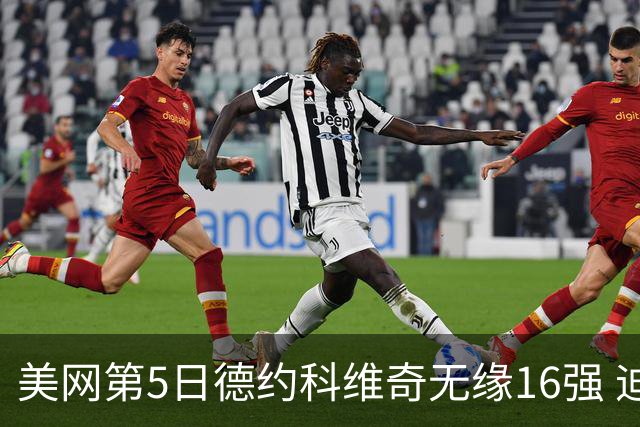 美网第5日德约科维奇无缘16强 迪米卢布列夫会师