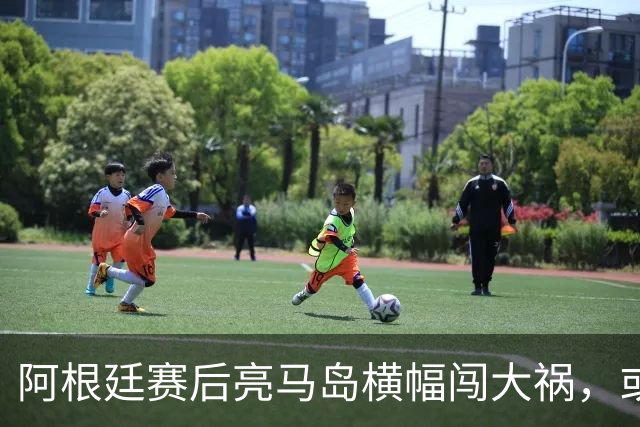 阿根廷赛后亮马岛横幅闯大祸，或遭国际足联处罚